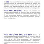 ¿Qué neumático 4 estaciones es mejor?