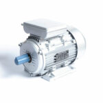 Ejercicios de control motor lumbar
