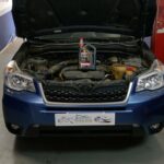 Caracteristicas del desarrollo motor