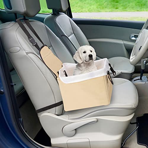 Transporte de perros en coche