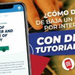 Cuánto cuesta tapizar los asientos de un coche