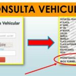 Trabajo en dallas sin papeles