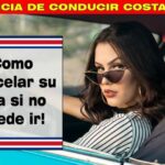 Sistema de traccion del automovil