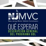 ¿Cómo funciona Via Michelin?