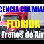 Que se puede saber con la matricula de un coche